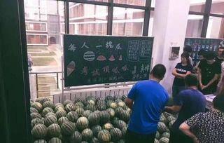 全体等瓜吃,一场全民参与的欢乐盛宴